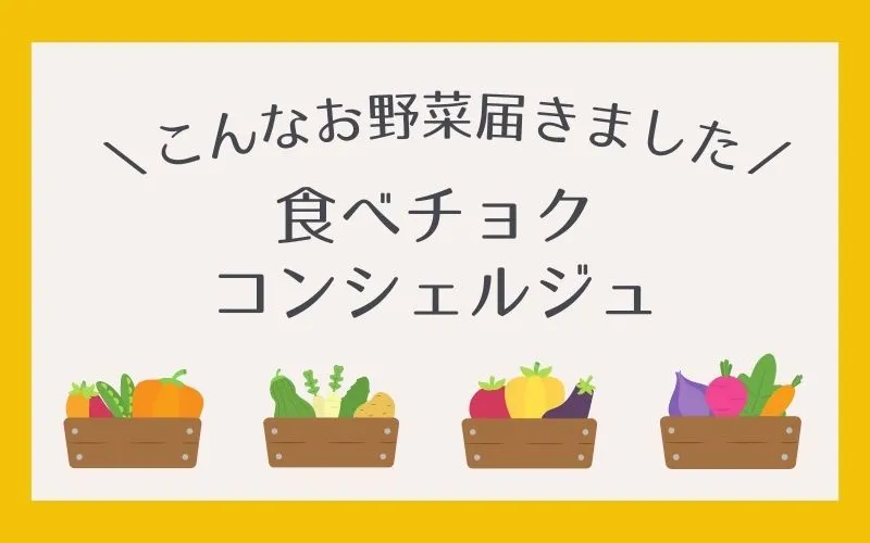 【レビュー】食べチョクコンシェルジュの有機野菜