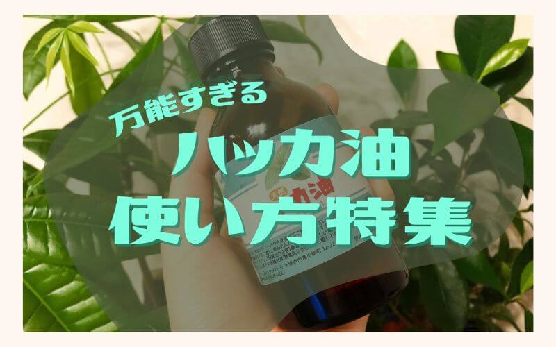 ハッカ油の使い方特集 虫除けスプレーやシャンプー お風呂にも使えて超